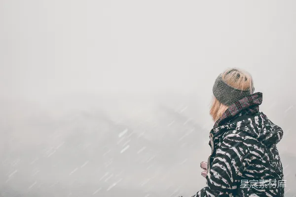 高清摄影 雪中静观