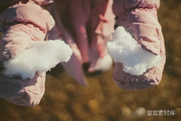 高清摄影 冬日里的雪花手