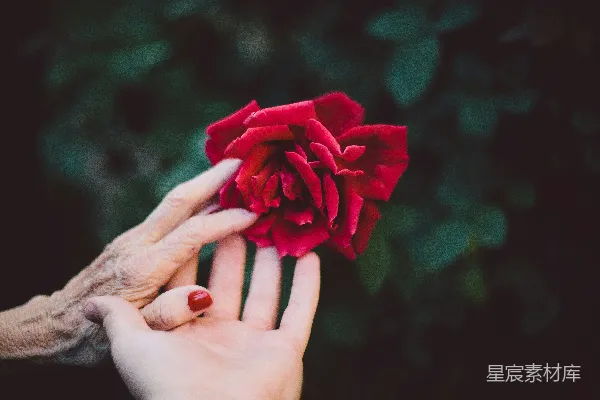 高清摄影 岁月的传承与温柔