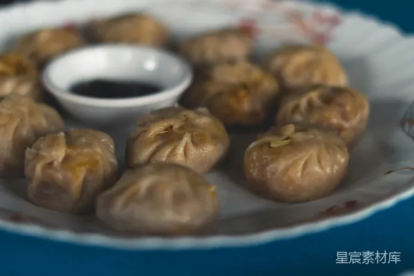 高清摄影 精致的饺子盘