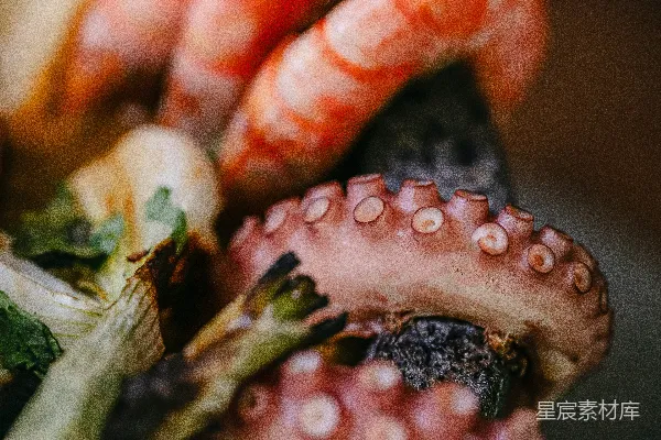 高清摄影 色彩斑斓的海鲜拼盘特写