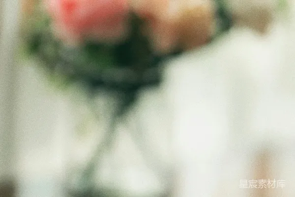 高清摄影 美食与静谧的花束