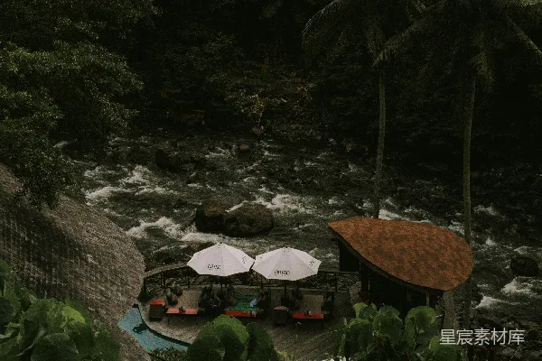 高清摄影 热带丛林中的溪流别墅