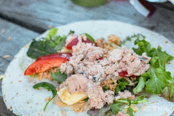 高清摄影 户外午餐：简易三文鱼卷饼