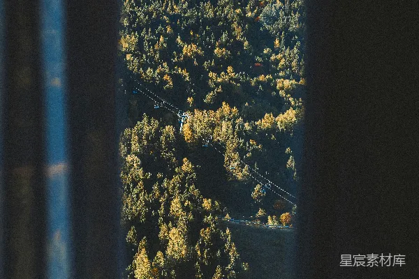 高清摄影 窗外的秋景