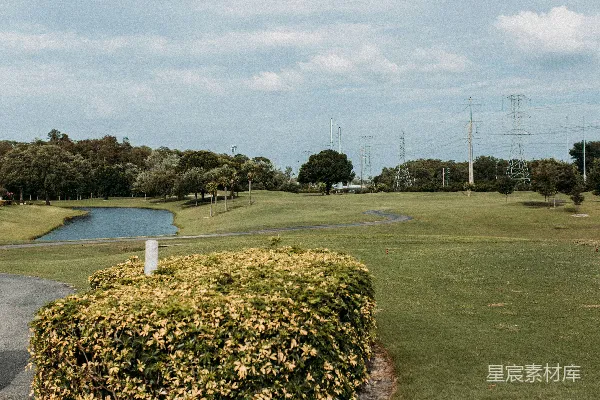 高清摄影 城市绿地中的宁静湖景