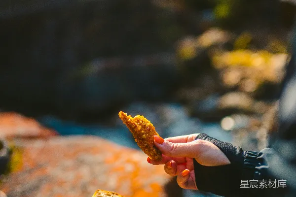 高清摄影 户外野餐时光