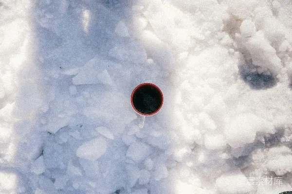 高清摄影 雪地里的温暖时光