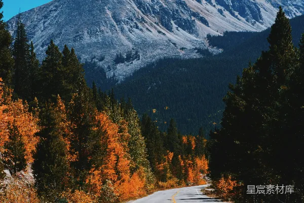 高清摄影 秋日山间道路