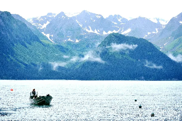 高清摄影 山间宁静的湖畔时光