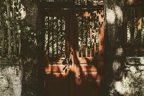高清摄影 荒废的门与树木