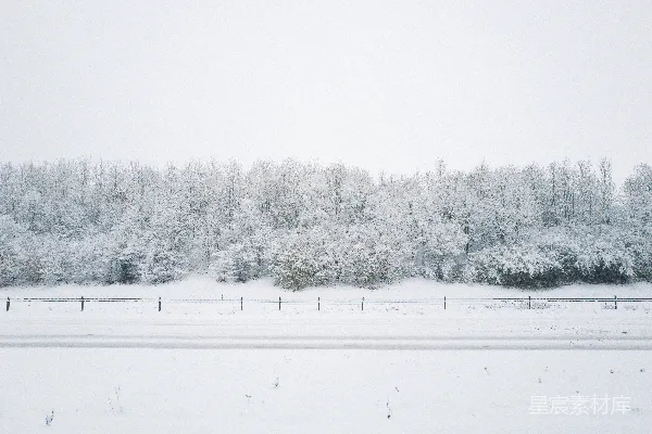 高清摄影 背景中有树的一片雪覆盖的田野