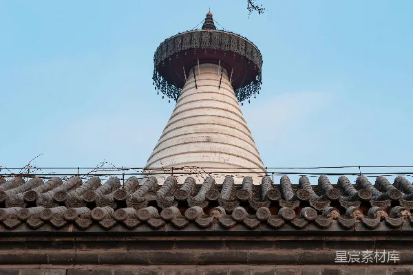 高清摄影 古塔与冬日树枝