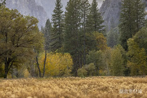 高清摄影 秋日山谷