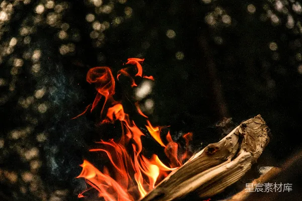 高清摄影 夜晚的篝火