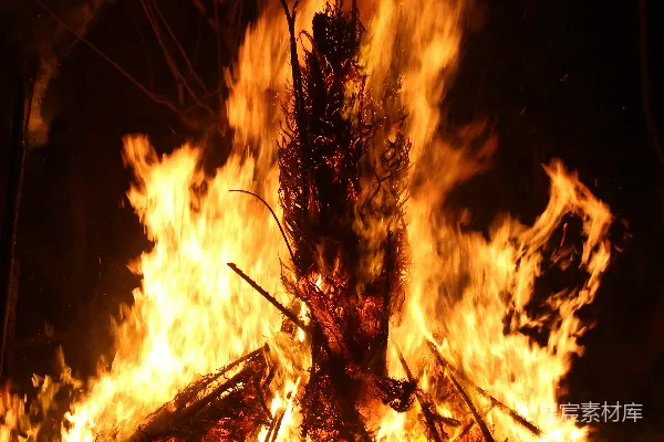 高清摄影 夜晚的篝火