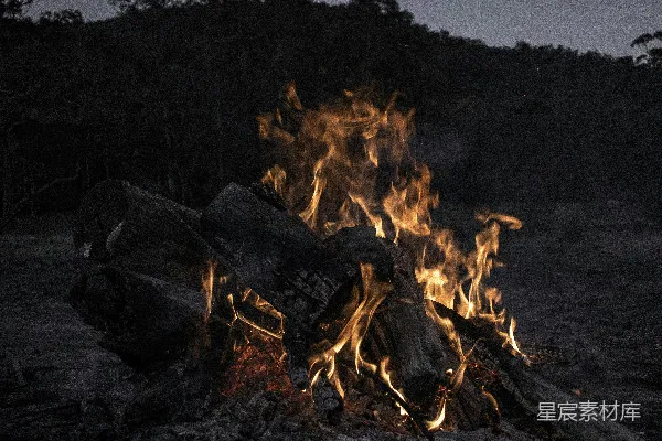 高清摄影 篝火夜景