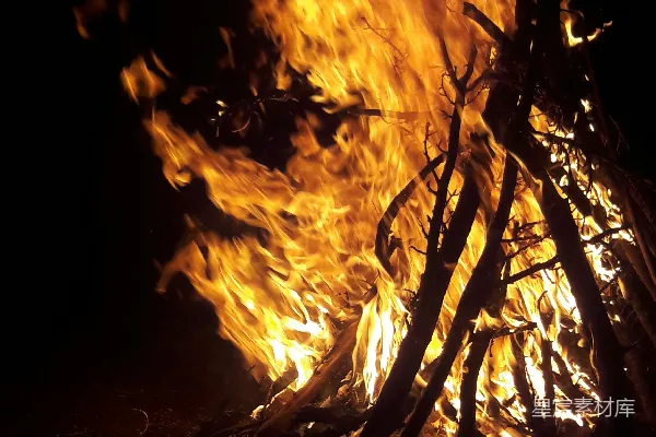 高清摄影 夜幕下的篝火