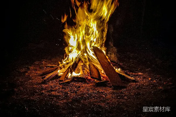 高清摄影 篝火夜景