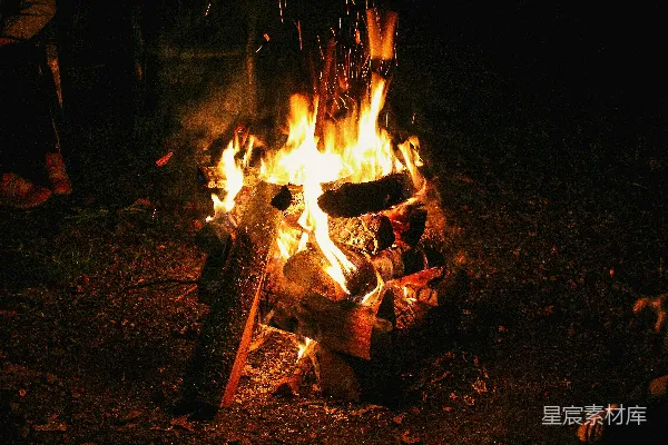 高清摄影 篝火夜景