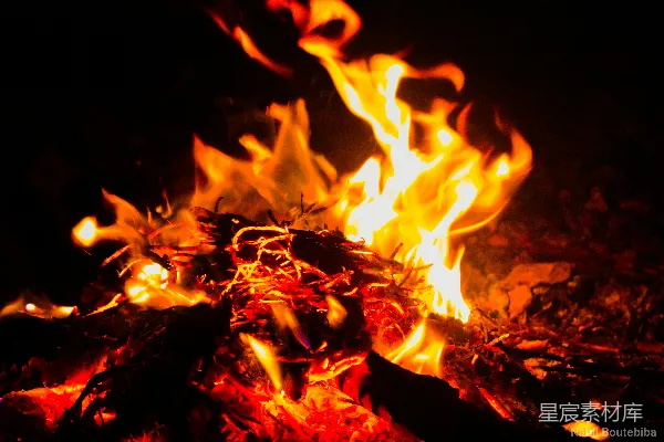 高清摄影 夜幕下的篝火