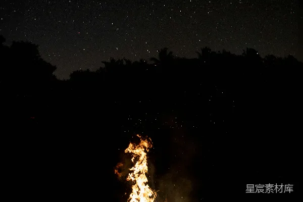 高清摄影 篝火下的夜空