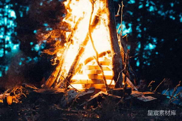 高清摄影 夜幕下的篝火
