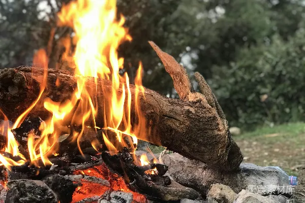 高清摄影 篝火夜