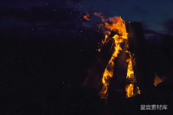 高清摄影 夜幕下的篝火