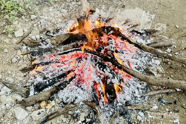高清摄影 篝火晚会