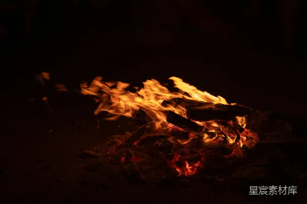 高清摄影 篝火夜景