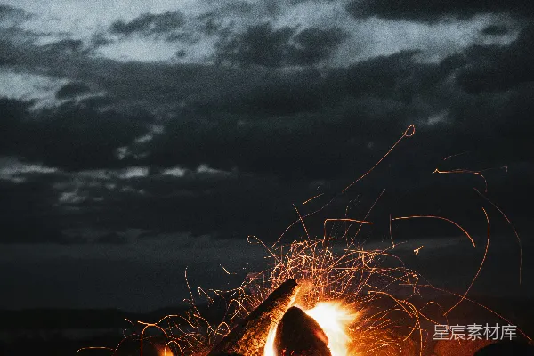 高清摄影 篝火下的夜空