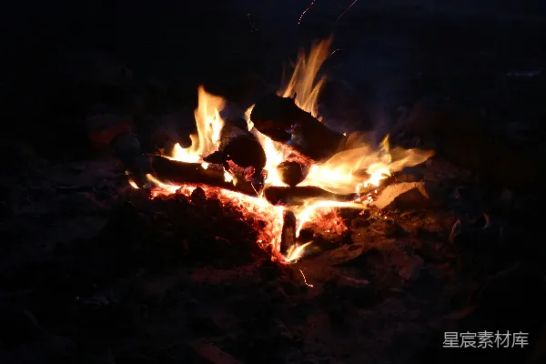 高清摄影 篝火夜景