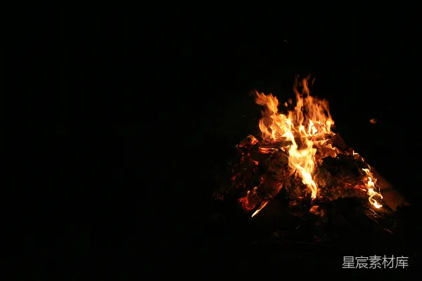 高清摄影 夜幕下的篝火