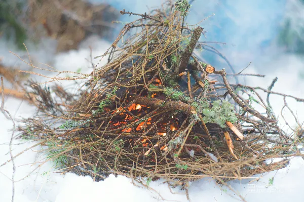 高清摄影 雪地里的篝火