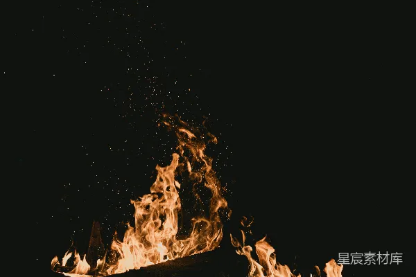 高清摄影 篝火夜景
