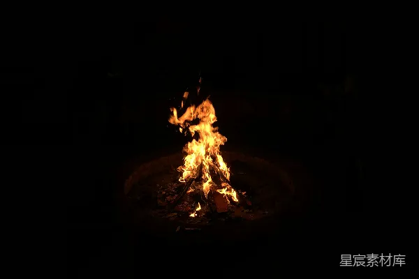 高清摄影 夜晚篝火