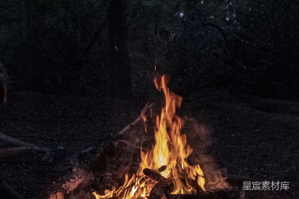 高清摄影 篝火夜景