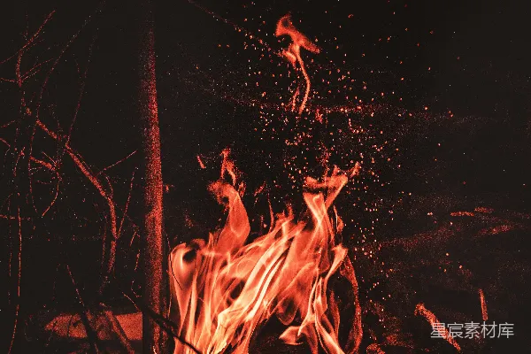 高清摄影 夜幕下的篝火