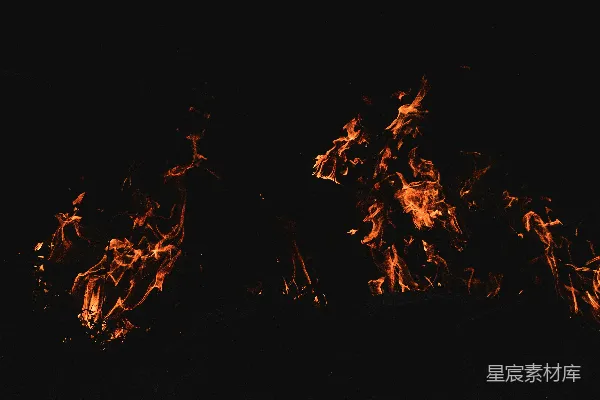 高清摄影 夜幕下的篝火