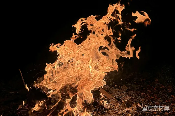 高清摄影 夜幕下的篝火