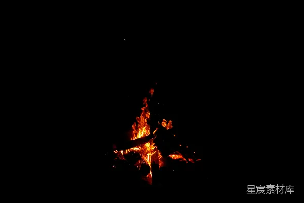 高清摄影 夜幕下的篝火