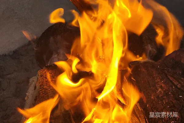 高清摄影 熊熊燃烧的篝火