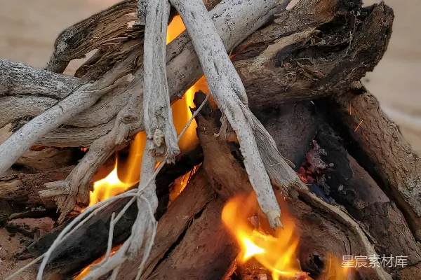 高清摄影 篝火在沙漠中燃烧