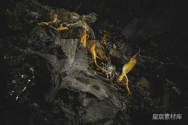 高清摄影 燃烧的纸张