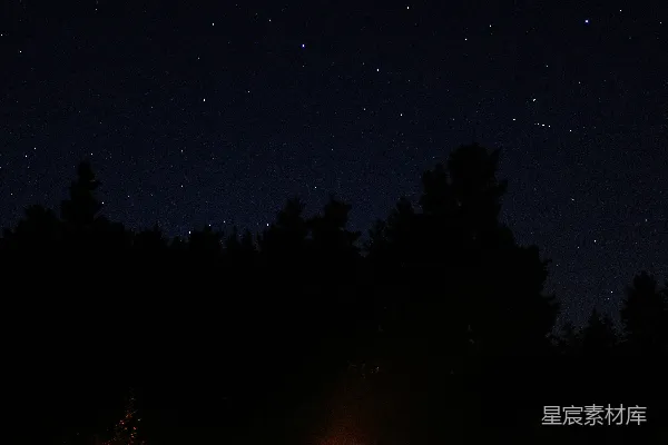 高清摄影 篝火下的夜晚
