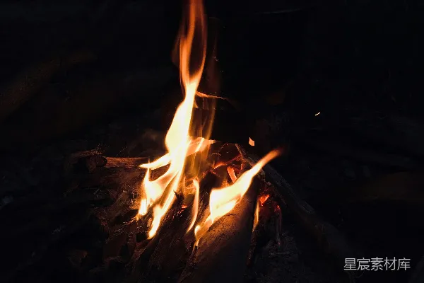 高清摄影 篝火夜晚的温暖