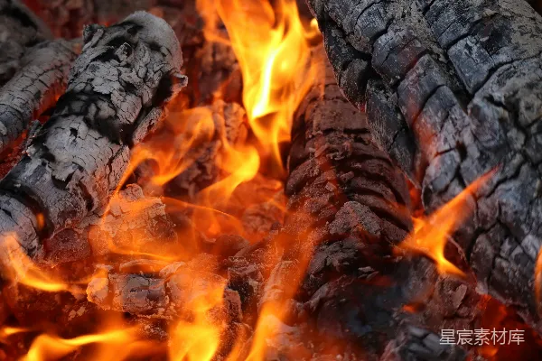 高清摄影 熊熊燃烧的篝火