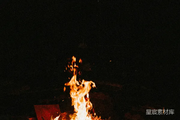 高清摄影 夜幕下的篝火