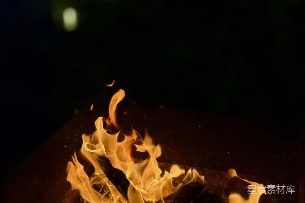 高清摄影 夜幕下的篝火